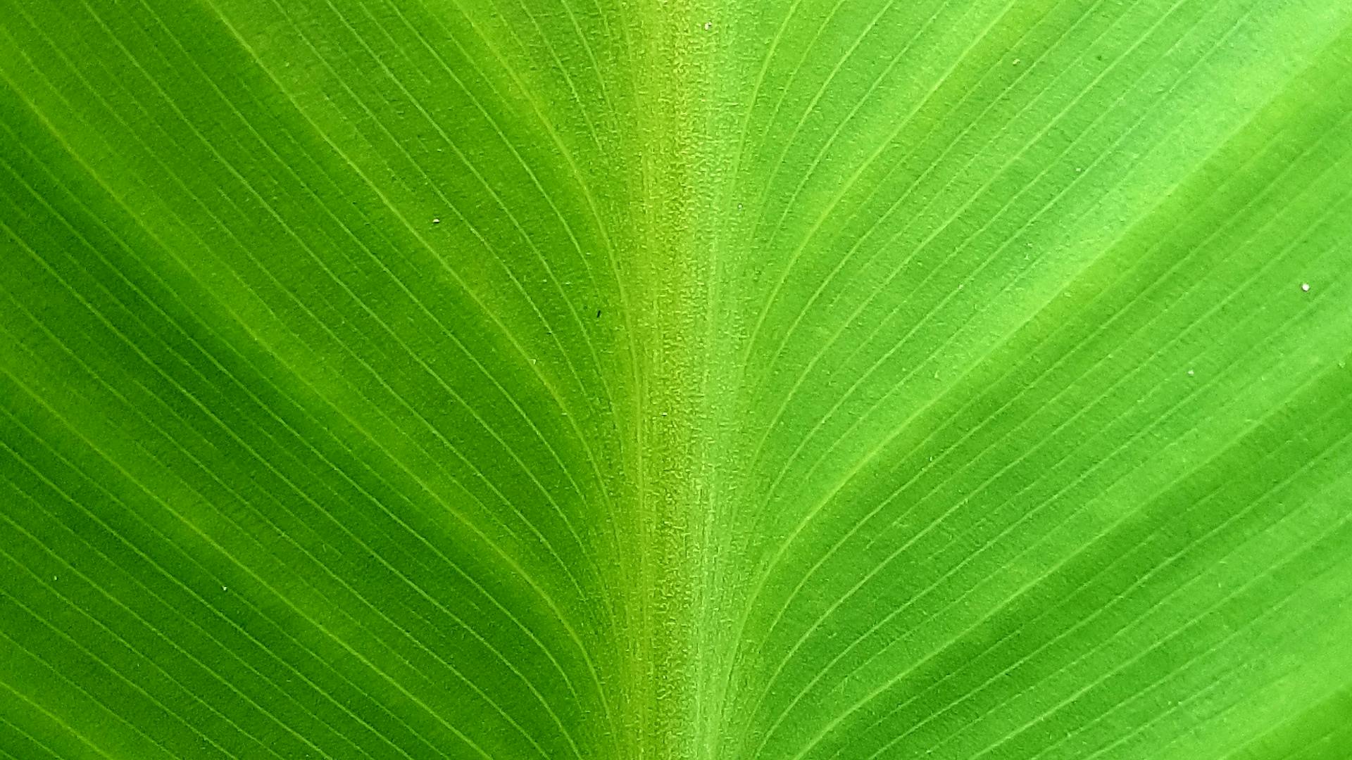 Customer analytics interface